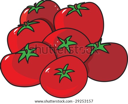 A group of bright red tomatoes on a white background