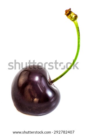 Black cherry isolated on white background Royalty-Free Stock Photo #292782407