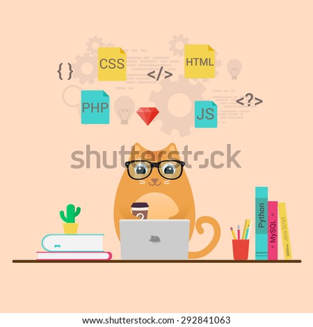 Programming and coding, website development