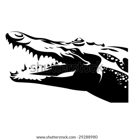 Crocodile (Alligator)