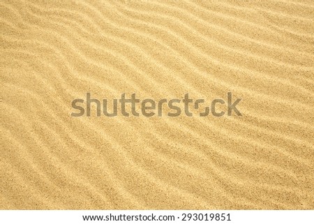 Sand Texture./ Sand Texture. Royalty-Free Stock Photo #293019851