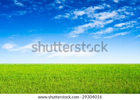 blue sky and green grass scene landscape