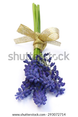 A small bouquet fragrant blue hyacinths on a white background