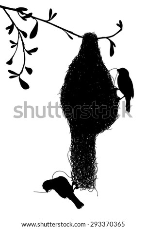 EPS8 editable vector silhouette of a pair of weaverbirds constructing their grass nest with birds as separate objects