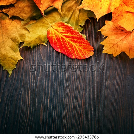 autumn leaf on wood  black  background