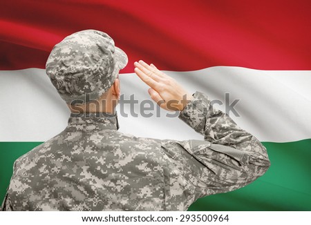 National military forces with flag on background conceptual series - Hungary