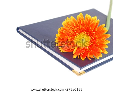 A hand-note and daisy in meeting