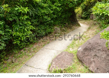 Stone walkway in countryside