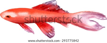 A watertcolor drawing of a bright koi fish, scalable vector graphic