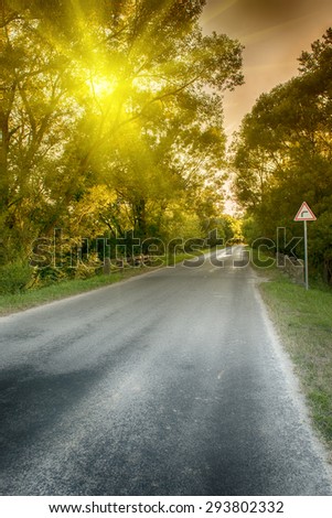 Asphalt road in sunset