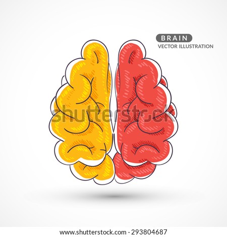 Hand-drawn colored brain. Color sketch of the brain. Colored hand drawn icon of the brain.