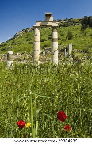 A photo of ruins at Ephesus, Turkey against a blue sky, and lushious foreground