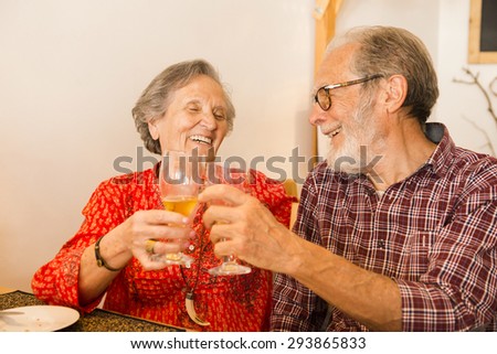 Old couple toasting and looking happy at a restaurant