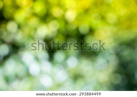 Bokeh Background & Abstract Background
