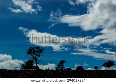 countryside and trees against the blue sky with white clouds