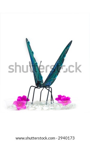 Butterfly image isolated on a white background with some pebbles