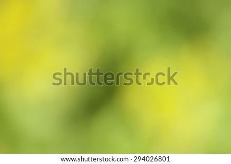 Yellowish floral image, without focus or definition.