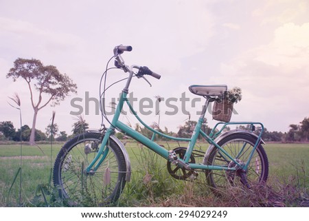 sunset with green retro bicycle on the grass ,Soft Focus Color Filtered background