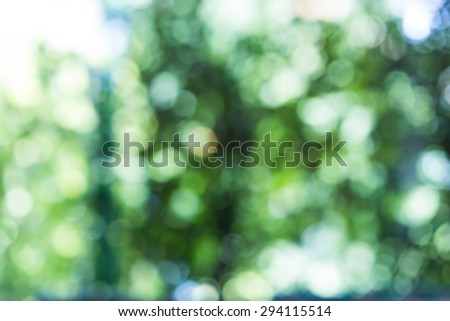 Abstract nature green bokeh background