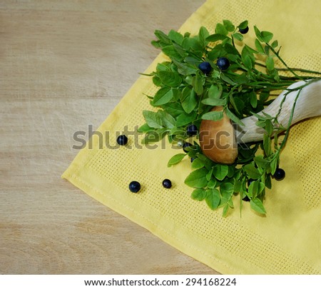 Forest plants. The blueberry bushes and a small white mushroom lying on yellow cloth napkin and an old wooden surface.