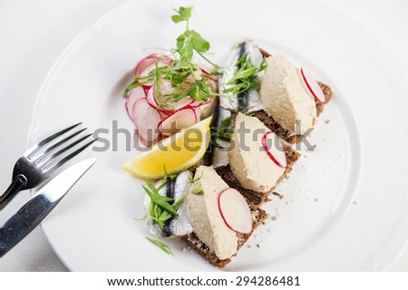 Homemade liver pate and anchovies on toast with radish on white plate