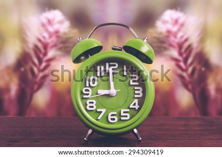 Clock on Wooden Floor with Flower Grass Background , Vintage Style