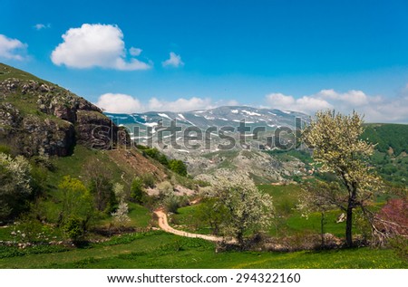 Landscape photo of the mountains in spring with trees in the foreground and snow covered mountain tops in the background.