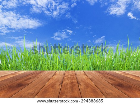 Fresh spring green grass with sky background and wooden floor 