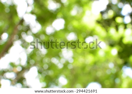 green bokeh abstract natural background