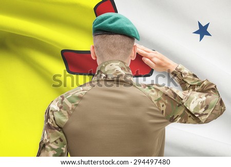 Soldier saluting to Canadian province flag series - Nunavut