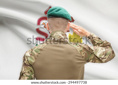 Soldier saluting to US state flag series - Illinois