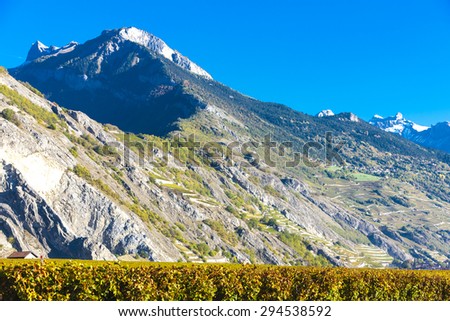vineyards in Ardon region, canton Valais, Switzerland