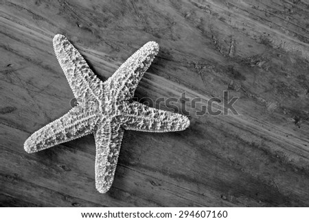 Black and white photo of starfish on rustic wood background.  Closeup with natural directional lighting for effect.  