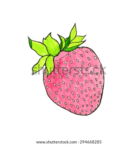 Strawberry. Hand-drawn berry. Real watercolor drawing. Vector illustration. Traced painting