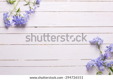 Background with fresh tender blue flowers on white wooden planks. Selective focus. Place for text.
