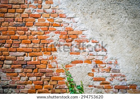old wall made of bricks in very uncared and dirty condition with a little bit of nature