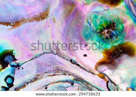 Iridescent nacre mother-of-pearl inner side of Paua, Perlemoen or Abalone shell macro background texture pattern Royalty-Free Stock Photo #294758633