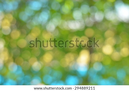 bokeh wall background green color texture link abstract nature soft design light bright