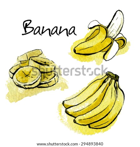 Banana. Watercolor painting on white background. Vector illustration