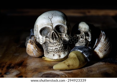 human skull with bone still life background
