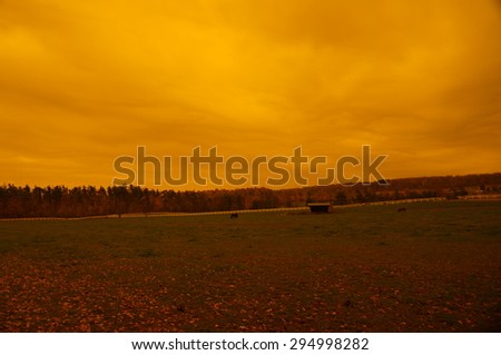 orange filtered yard