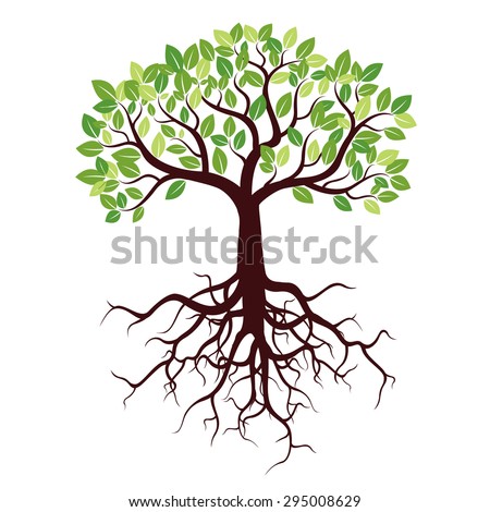 Tree with Roots and Leafs. Vector image. Royalty-Free Stock Photo #295008629