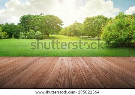 nature green wood backgrounds