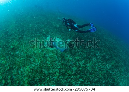 Diver on the reaf of Red sea