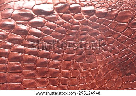 Alligator patterned background
