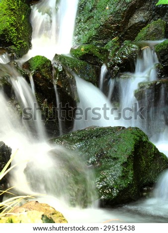 Waterfall in a tropical forest