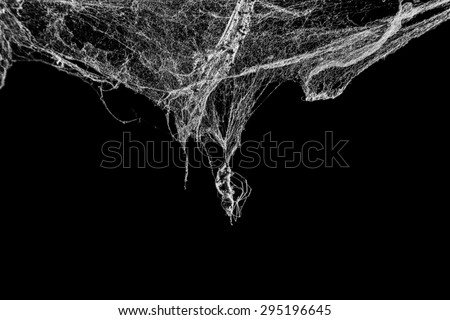 Triangle horror cobweb or spider web isolated on black background Royalty-Free Stock Photo #295196645