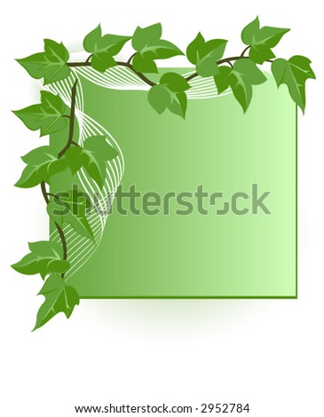 Blank card with green ivy leaves, vector illustration.