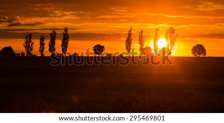 Beautiful vibrant sunset over field. Close up of cloudy sky sunset and trees silhouettes.