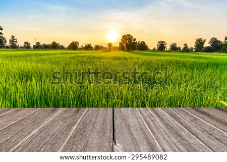 Vintage wooden texture with rice field in the morning. Royalty-Free Stock Photo #295489082